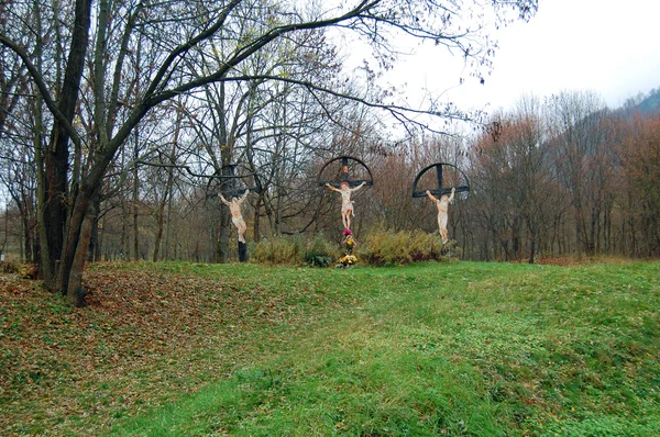 Oude kruisen in het forest — Stockfoto