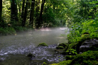 Şafak vakti nehirden yükselen sis.