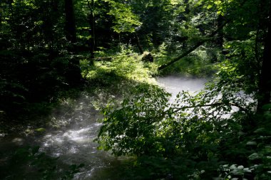 Şafak vakti nehirden yükselen sis.
