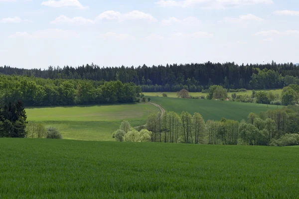 Krajobraz w południowej części Republiki Czeskiej — Zdjęcie stockowe