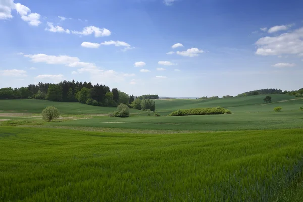 Landschap in het zuiden van de Tsjechische Republiek — Stockfoto