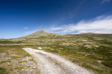 Yol Jotunheimen Milli Parkı, Norveç