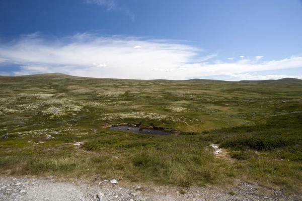 Jotunheimen Milli Parkı, Norveç'te küçük bir göl — Stok fotoğraf