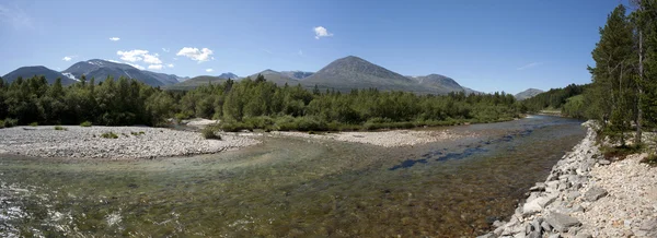 Clean and clear river in the forest, Rondane National Park, Norw — Stock Photo, Image