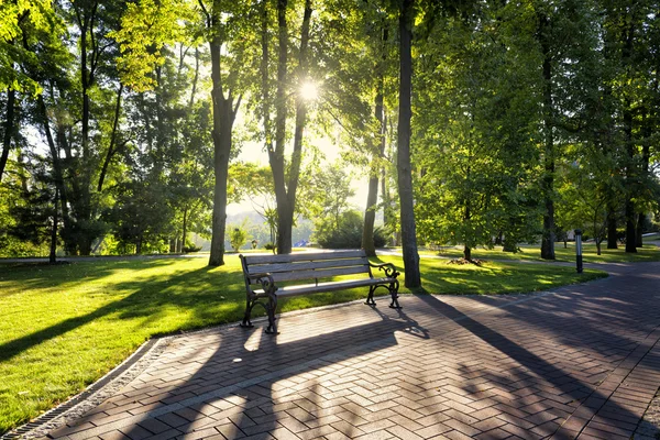 Frühmorgens im Park — Stockfoto