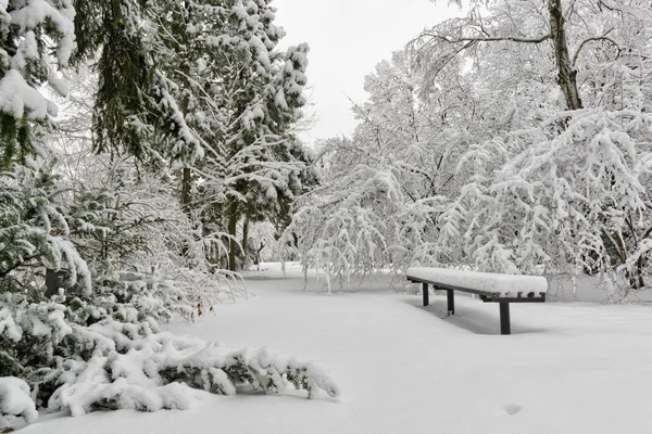 Bench in the winter park — Stock Photo, Image
