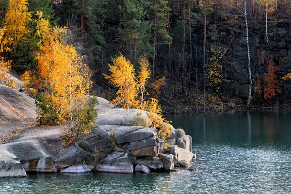Fall scene near the lake — Stock Photo, Image