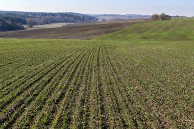 Bahar kırsal manzara