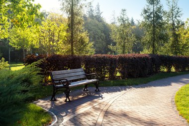 Bir park yerinde dinlenme