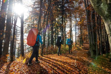 Dağ ormanlarında yürüyüş yapan sırt çantalı bir grup turist.