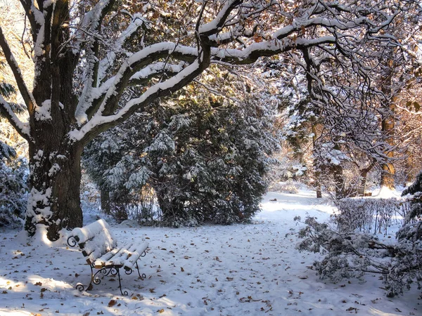 Beautiful Winter Park Bench — Stock Photo, Image