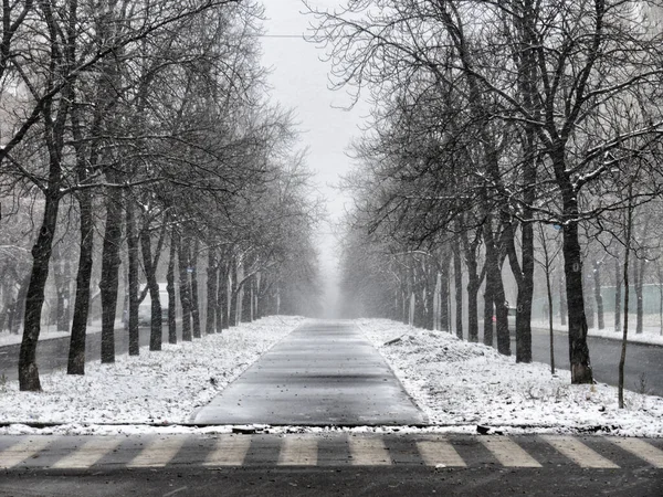 Leere Straßen Der Stadt Nach Heftigen Schneefällen Schlechte Wetterprognose Gefährliche — Stockfoto