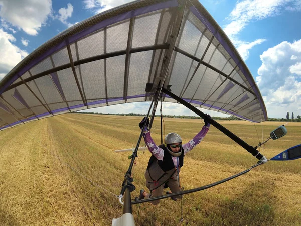 Hang glider landing. Pilot lands colorful hang glider wing on the yellow wheat field. Extreme sport.