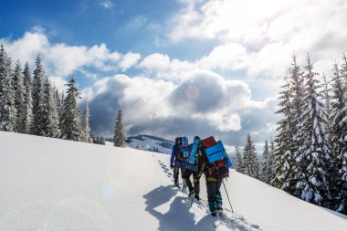Bir grup yürüyüşçü kış dağlarında zirveye doğru yürüyorlar.