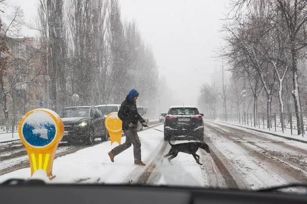 Kiev Ucrania Diciembre 2020 Peatonal Con Perro Cruzando Carretera Condiciones Fotos de stock libres de derechos