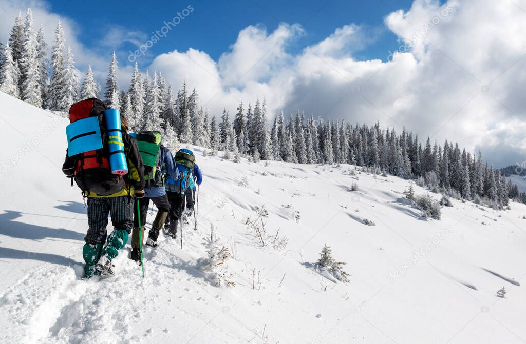 hikers with backpacks climbing in the winter mountains during a bright sunny days