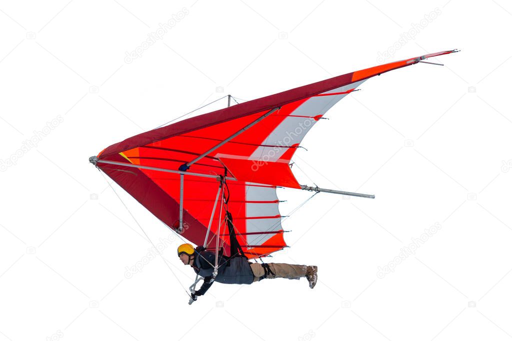 Hang glider wing silhouette isolated on white. Real wing profile