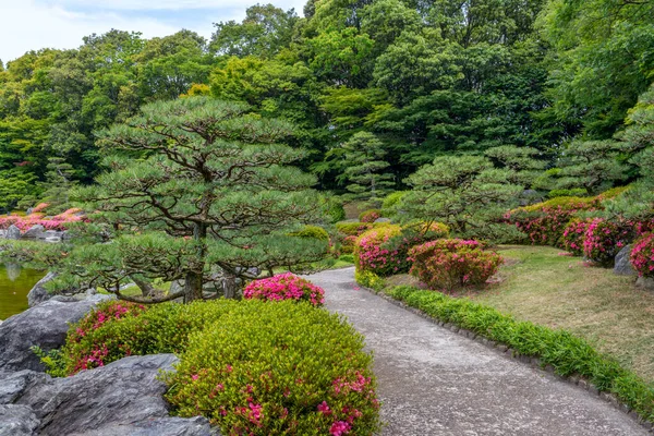 Sendero Hermoso Jardín Japonés Con Pinos Flores Imágenes de stock libres de derechos