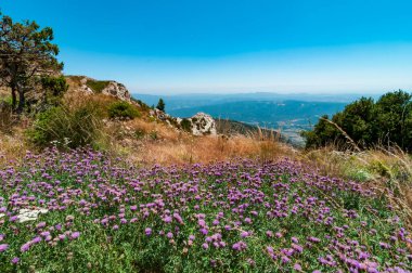 Pyrenees, İspanya 'da yaz manzarası. Ager, Serra del Montsec