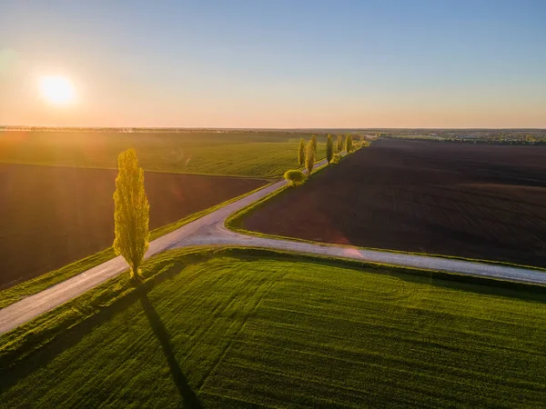 Coltivati Campi Agricoli Illuminati Dal Sole Della Sera Foto Aerea — Foto Stock