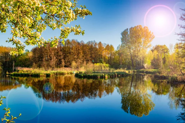 Spring Mirror Lake Colorful Landscape Clear Blue Lake Blooming Apple — Stock Photo, Image