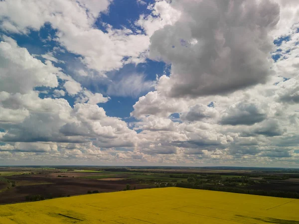 Rapeseed field and cloudy sky. Aerial photo of Ukrainian countryside
