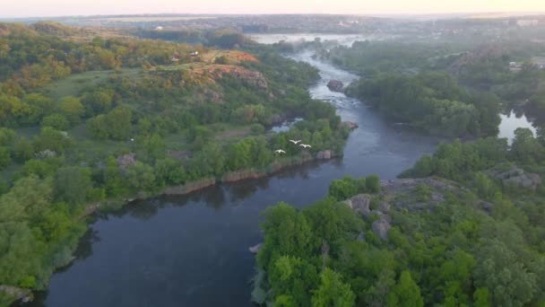 Vuelo Del Cisne Por Encima Del Cañón Del Río Brumoso — Vídeos de Stock