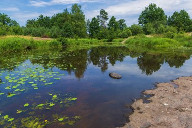 Kırsal bölgedeki güneşli nehir kıyısında. Sakin yaz manzarası