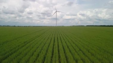 Rüzgar türbini ve buğday tarlası. Hızlı dinamik drone videosu