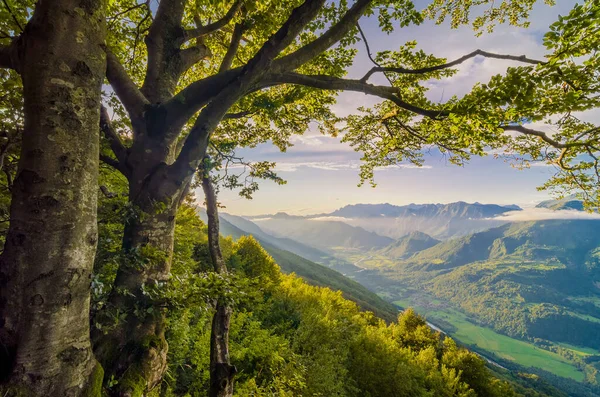 Boa Noite Vale Soca Eslovénia Pôr Sol Tranquilo Europa Destino — Fotografia de Stock