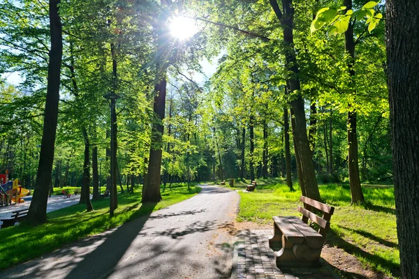 Park met bankjes — Stockfoto