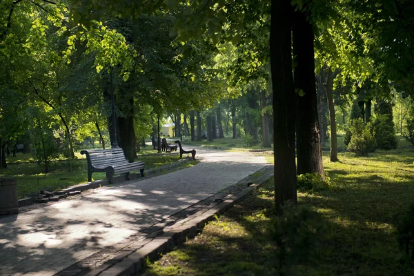 Passarela no parque — Fotografia de Stock