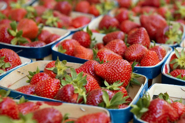 Fresas en el mercado — Foto de Stock