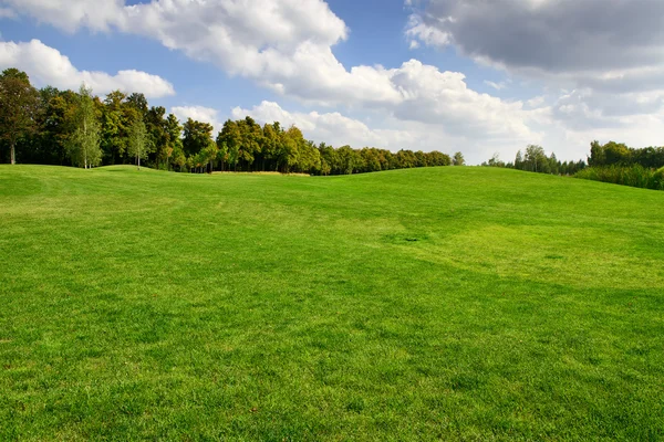 Golf alanı