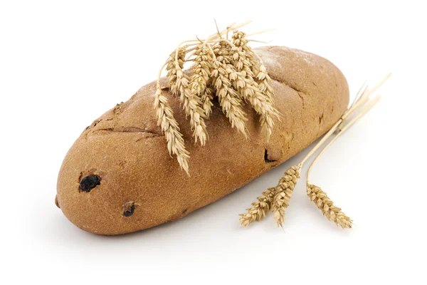 Bread loaf — Stock Photo, Image