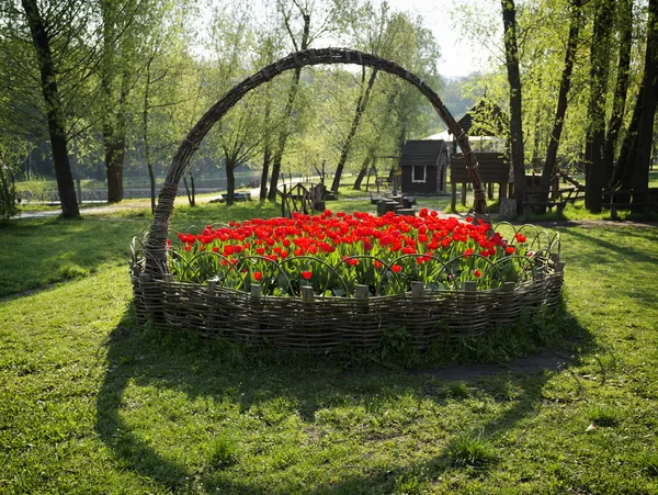 Schönes Blumenbeet — Stockfoto