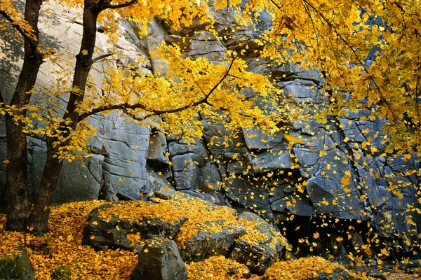 Mooie herfst scène — Stockfoto