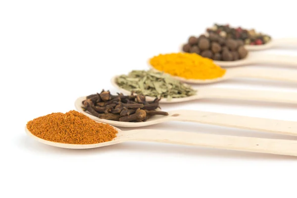 Collection of spices — Stock Photo, Image