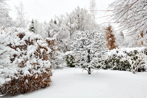 在公园里厚厚的积雪 — 图库照片