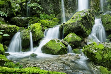 Waterfall in the forest clipart