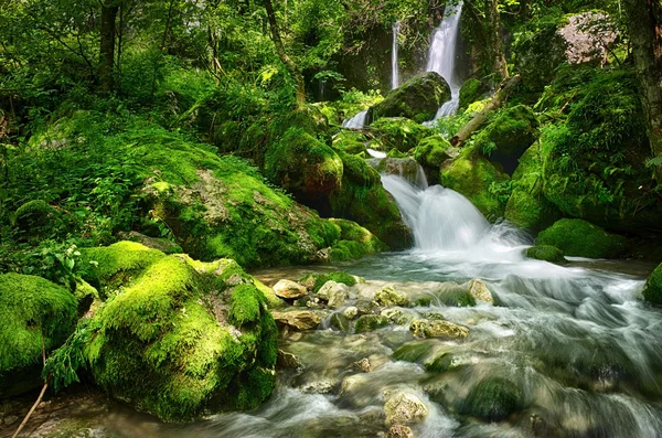 Waterfall in a forest — Stock Photo, Image