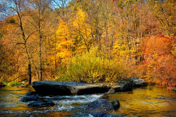 Herfst bos en rivier — Stockfoto