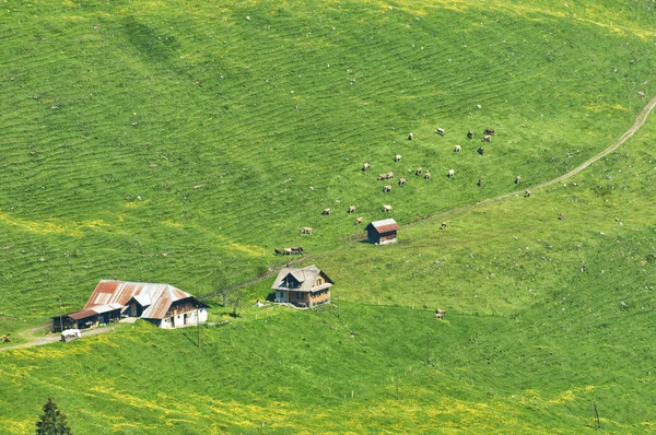 Małe gospodarstwa w górach — Zdjęcie stockowe