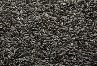 ayçiçeği tohumu siyah arka plan 