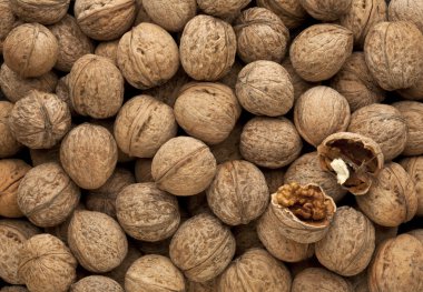 arka plan üzerine kıyılmış fındık