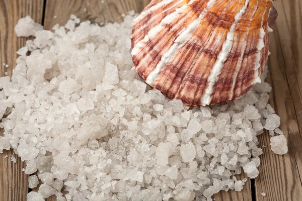 Sea salt and shell on a wood Stock Picture