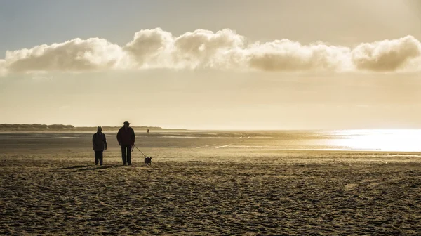 In late autumn the beach of the North Sea at sankt peter ording — Stock Photo, Image