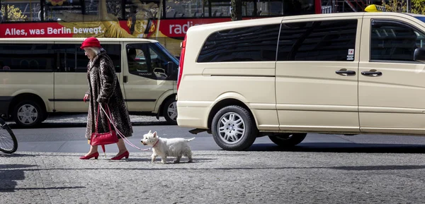 Élégante vieille dame avec chien — Photo