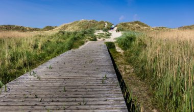 plaja kirişli inşa yol