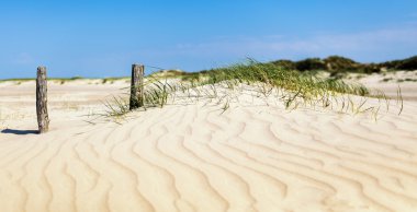 bir kumul üzerinde plaj, St Peter Ording